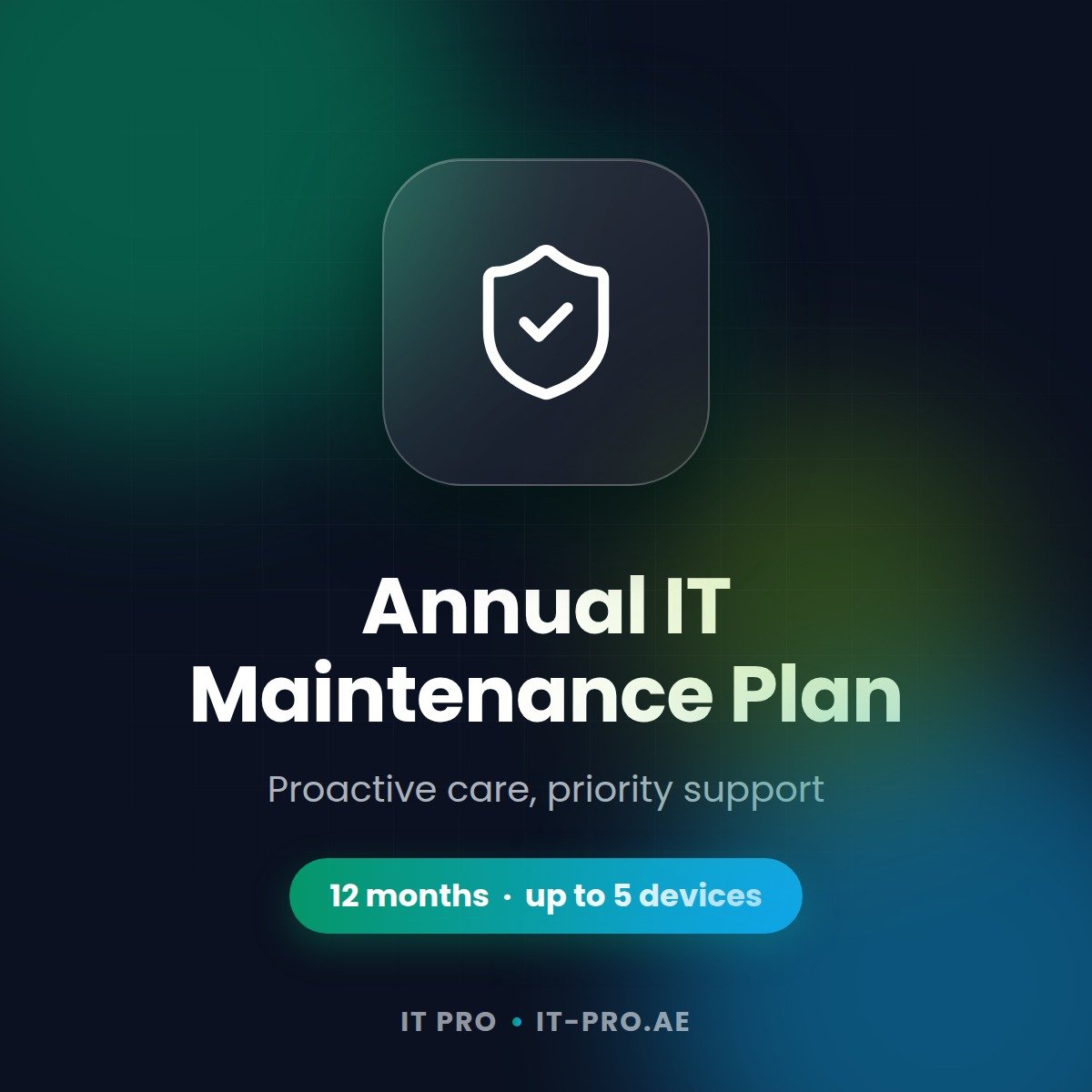 Annual IT Maintenance Plan